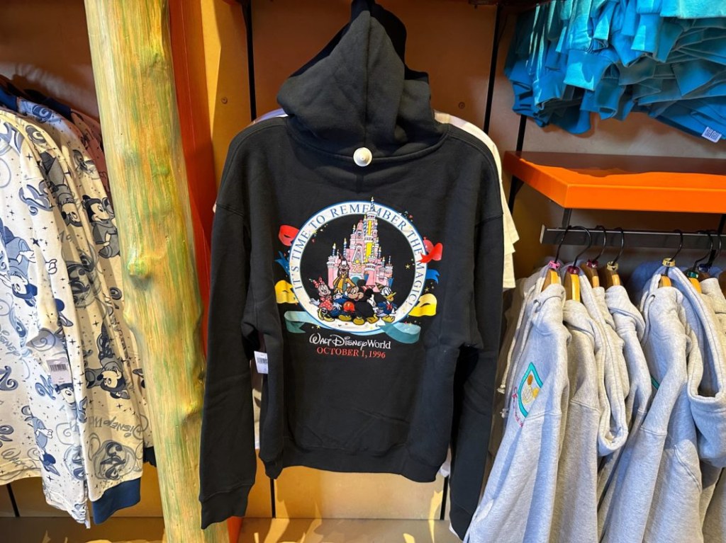 Picture of: New ‘Castle Cake’ th Anniversary Hoodie at Walt Disney World